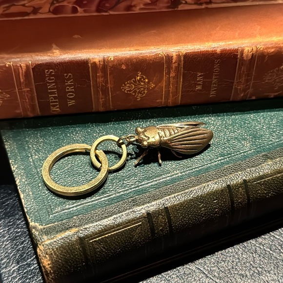 Detailed Solid Brass Cicada Keychain on Solid Brass Split Rings - Picture 1 of 10